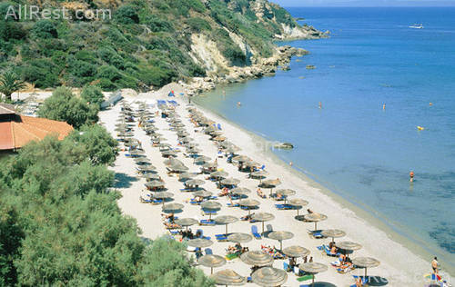 Louis Imperial Zante 8